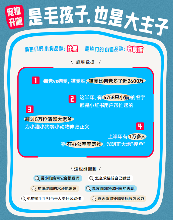 图片 23.png